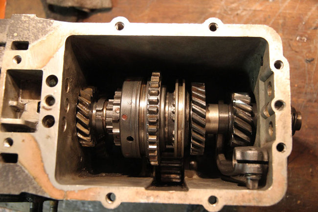 IMG_5004.JPG (112.48 Kio) Vu 9322 fois Arbre en place