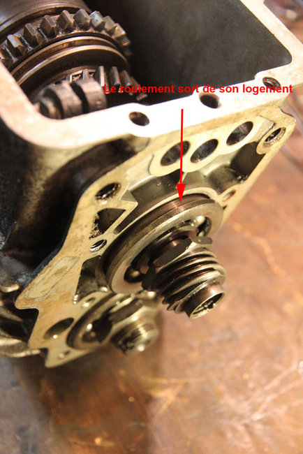 IMG_5008.JPG (116.3 Kio) Vu 9322 fois le roulement sort