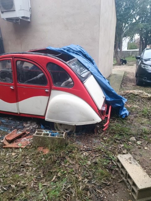 IMG_20260119_143131 (3).jpg