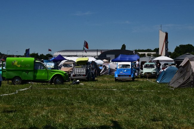 DSC_0222.JPG