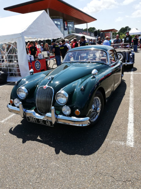 Jaguar 1958.jpg