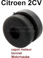 gomme-capot.jpg