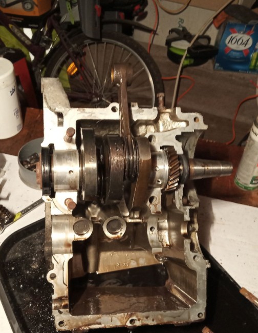 IMG_20210102_170647.jpg (151.38 Kio) Vu 4427 fois ya plus qu'a nettoyer tout ça !