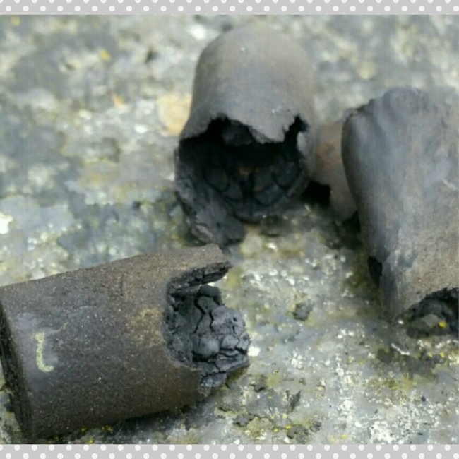 PhotoGrid_1463399194251.jpg
