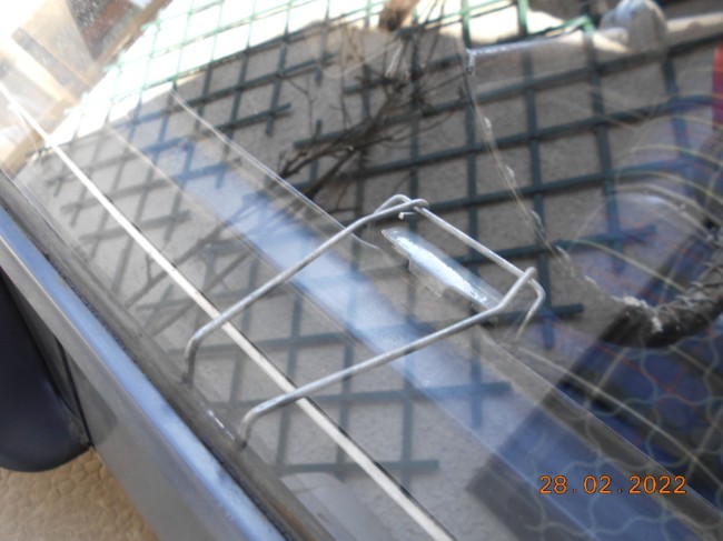 DSCN2242.JPG