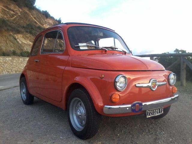 5ino ridotta 2.JPG