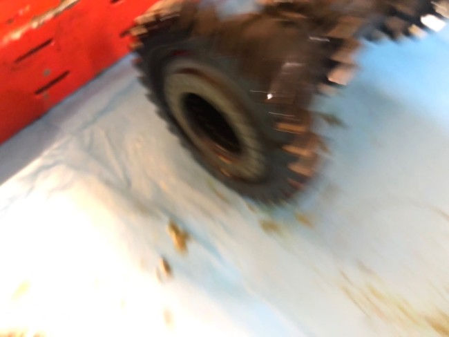 IMG_8212.jpeg