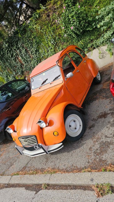 voiture entiere.jpg