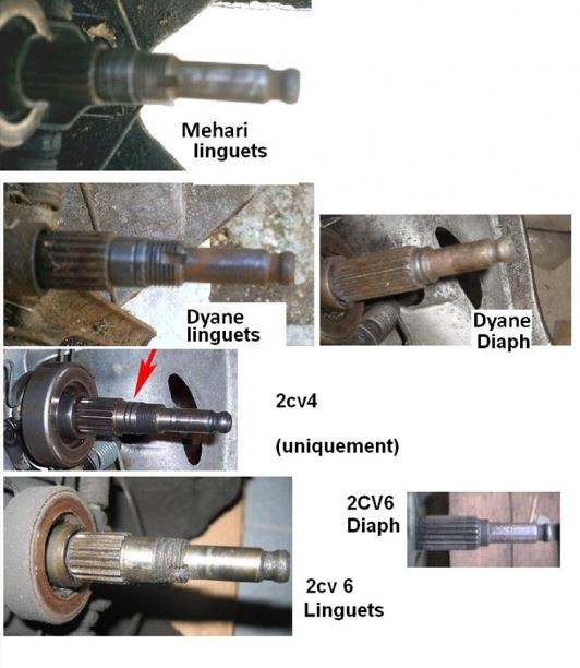 image3.JPG