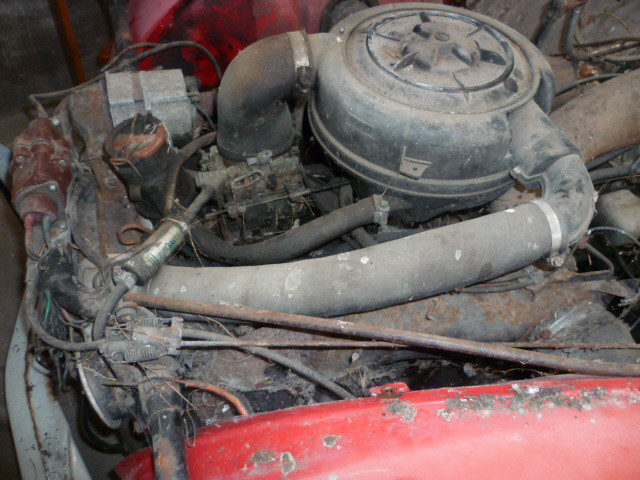 P1010269.JPG