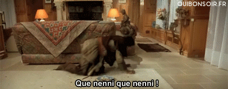 tumblr_nt6zruDexX1uzq66lo1_500.gif