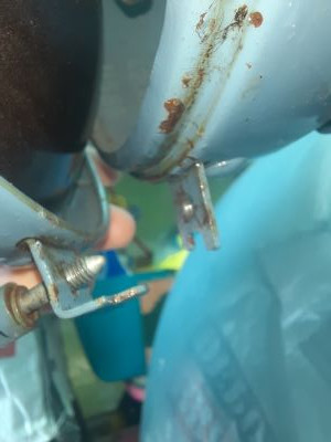 20250707_115709 redim.jpg