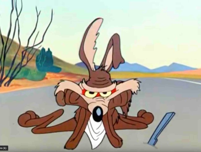 Coyote7.jpg
