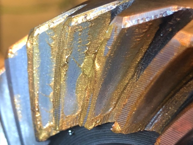 2024 - 02 - Fév 29 - 53.jpeg