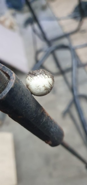 WhatsApp Image 2026-02-16 at 14.05.04.jpeg