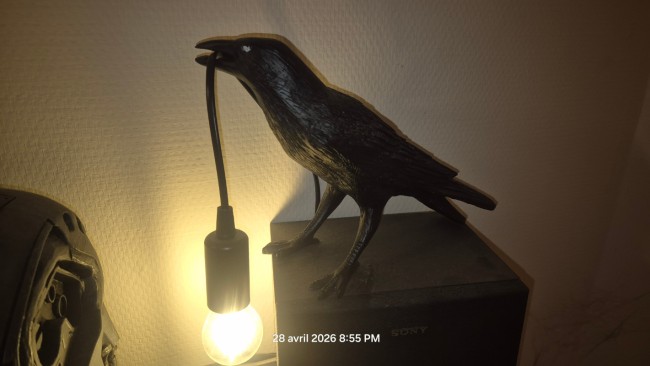 20260428_205505.jpg