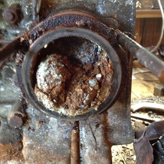 image(9) (Copie).jpeg
