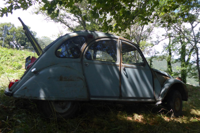 1030535.jpg (599.36 Kio) Vu 7523 fois Elle se repose aussi lors du casse croûte