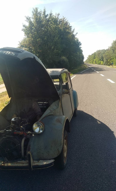 received_229080454423091.jpeg (285.87 Kio) Vu 8454 fois Pause refroidissement pour titine